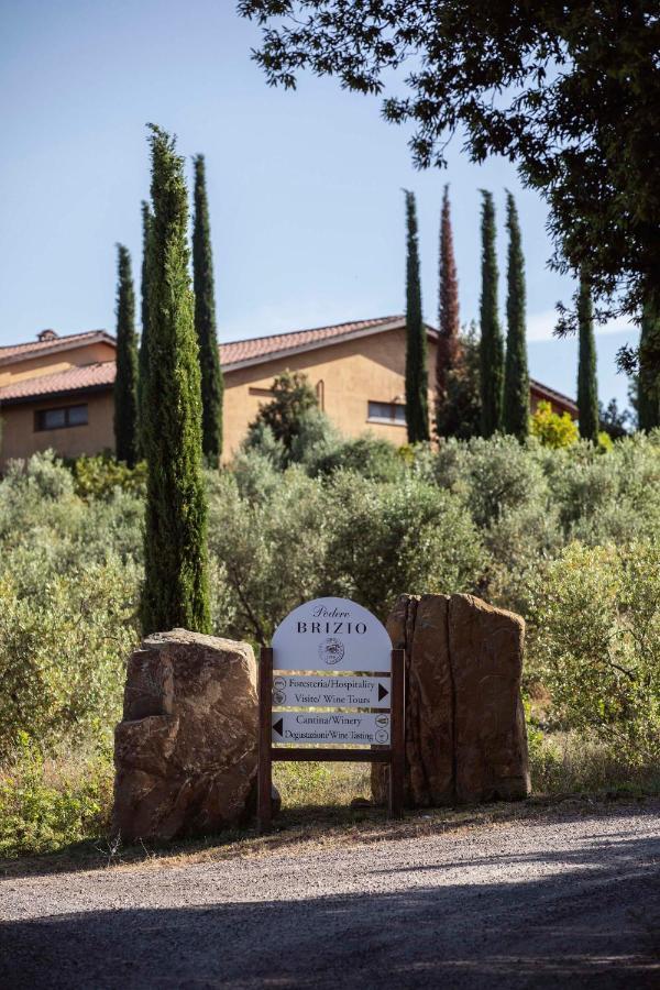 Podere Brizio Affittacamere Montalcino Esterno foto