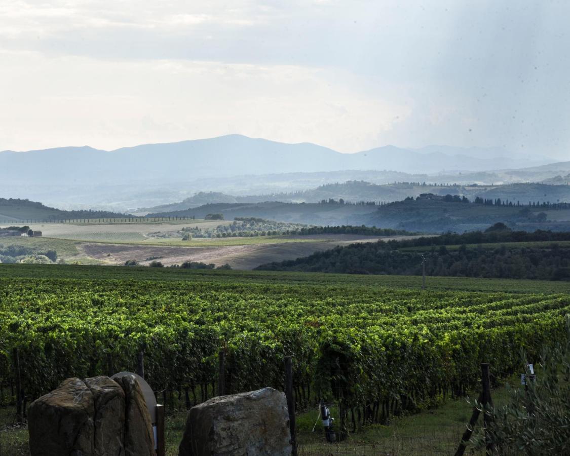 Podere Brizio Affittacamere Montalcino Esterno foto